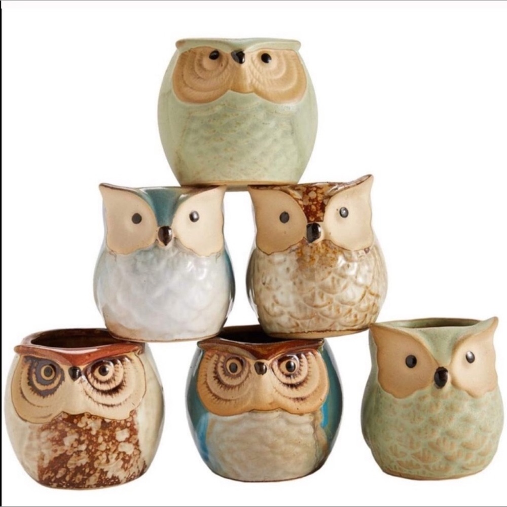 Boho western flower Ceramic Succulent Pots Set